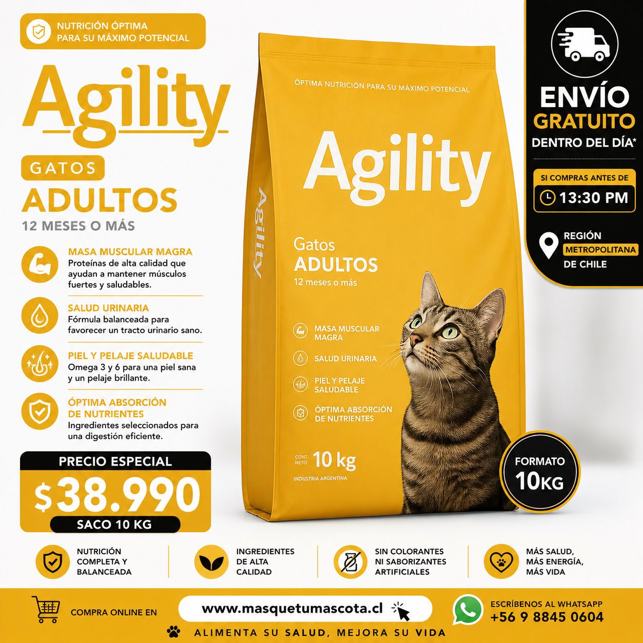 Agility Gato Adulto 10kg