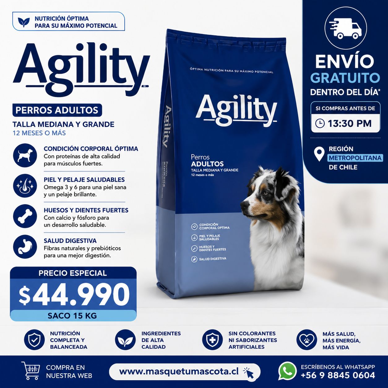 Agility Perro Adulto 20 kg