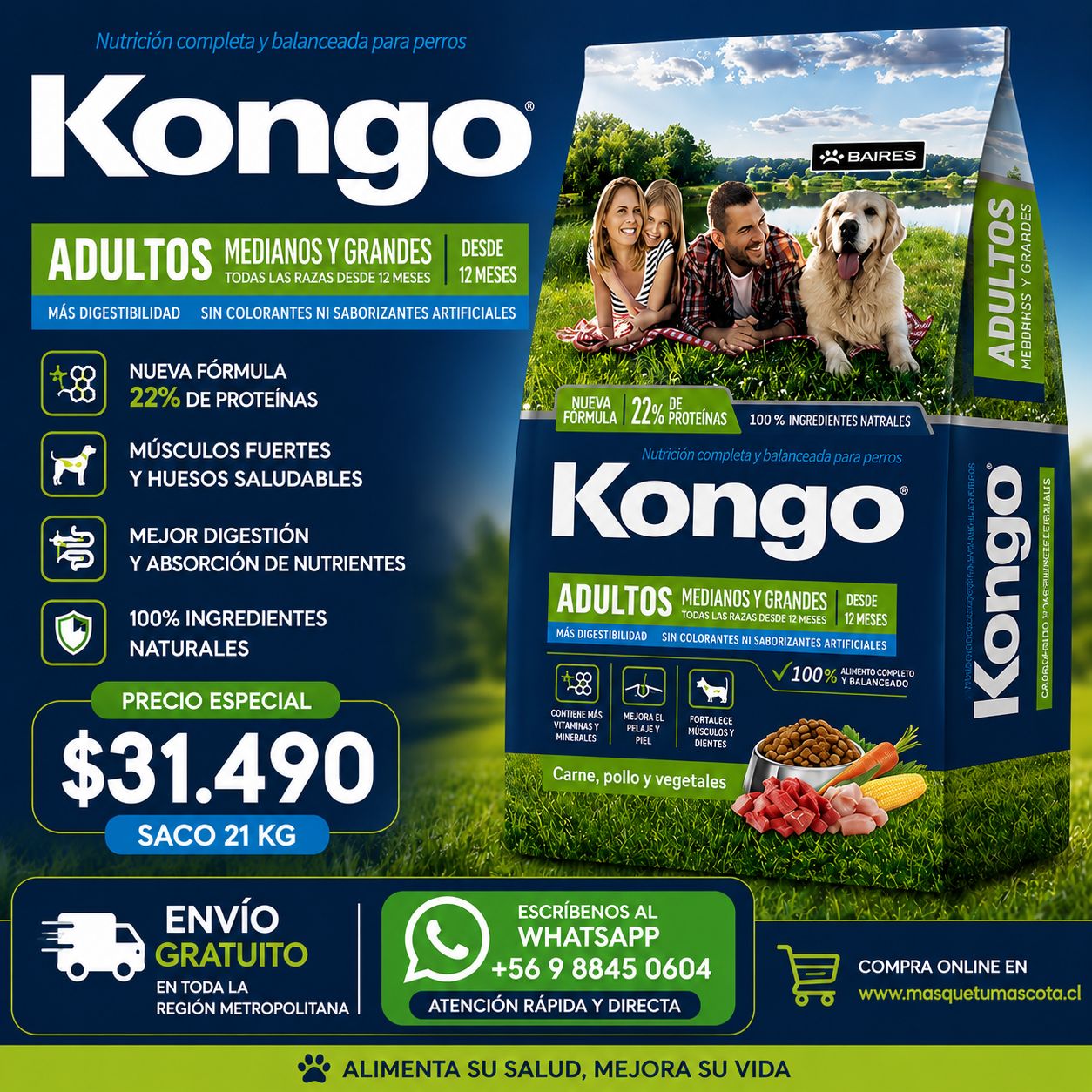 Kongo Adulto 21kg