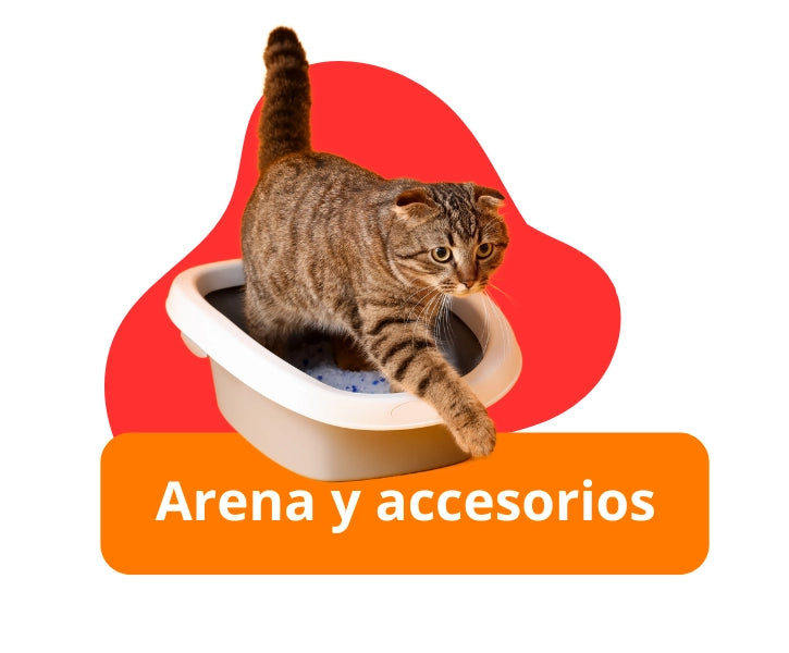 Accesorios para mascotas