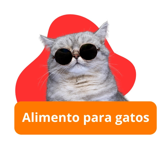 Alimento para gatos