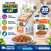 Caja Sachet Master Cat Salmon 20 Unidades