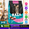 Raza Gatito Bebe 8kg