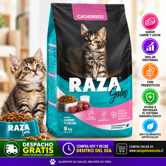 Raza Gatito Bebe 8kg