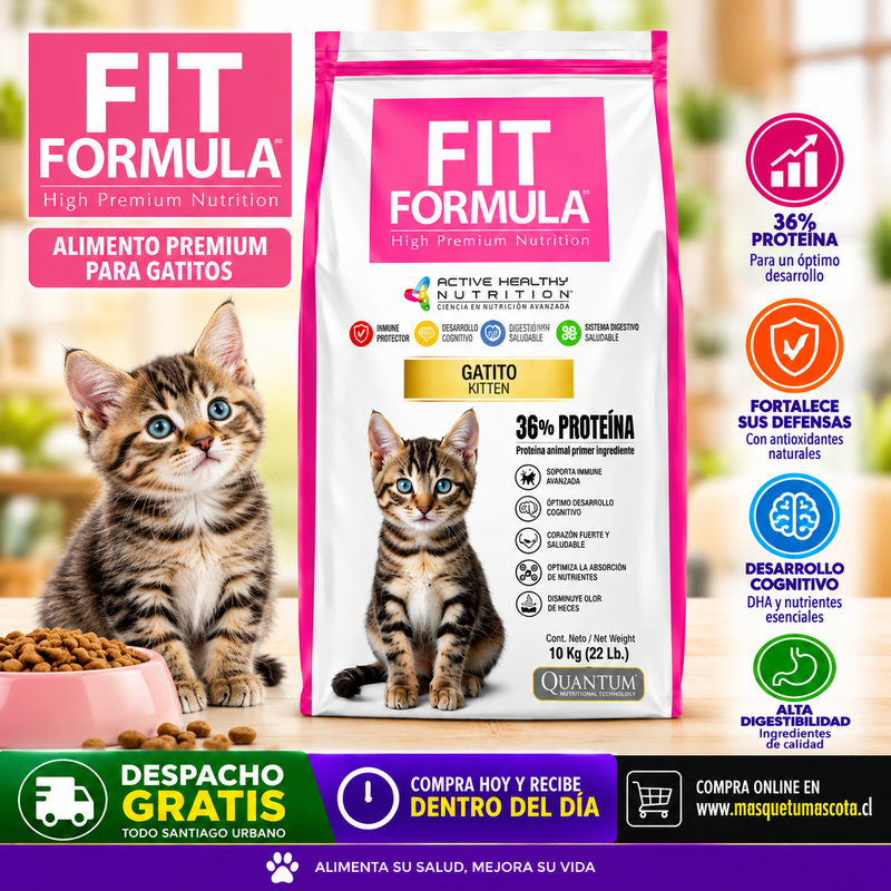 Fit Formula Gatito Bebe 10kg