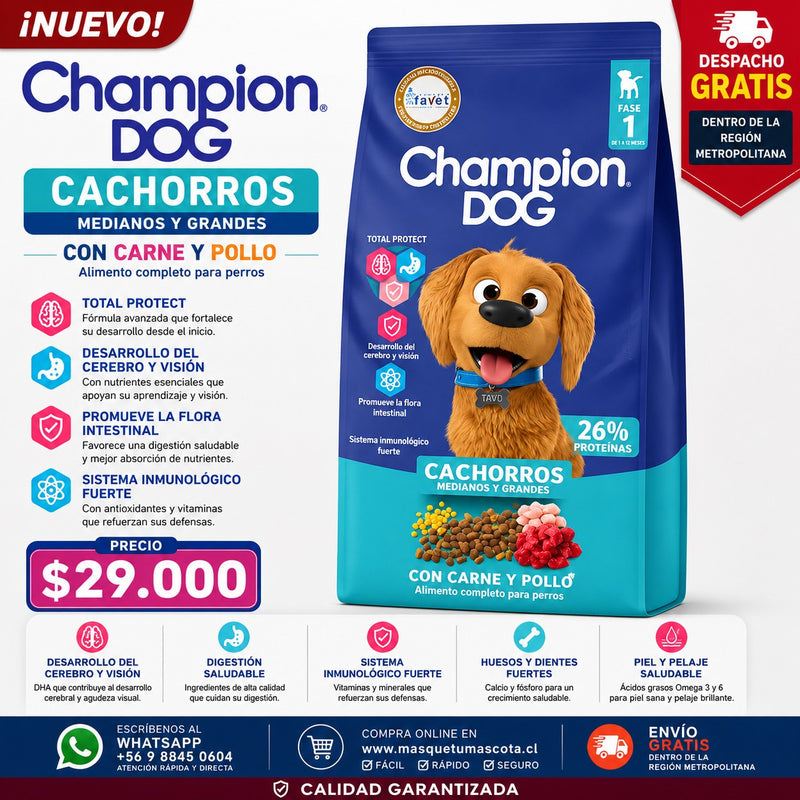 Champion Dog Cachorro  18 KG
