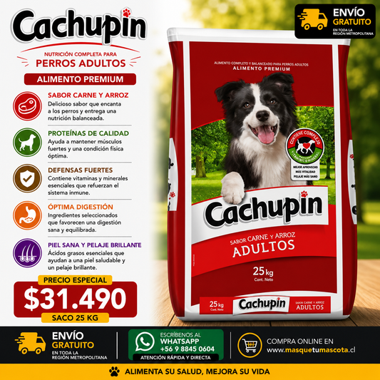 Cachupin Adultos - 25 Kg 20% de Proteina.