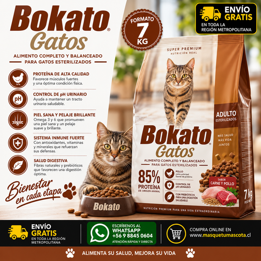 Bokato Gato 7kg Premium