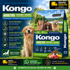 Kongo Adulto 21kg