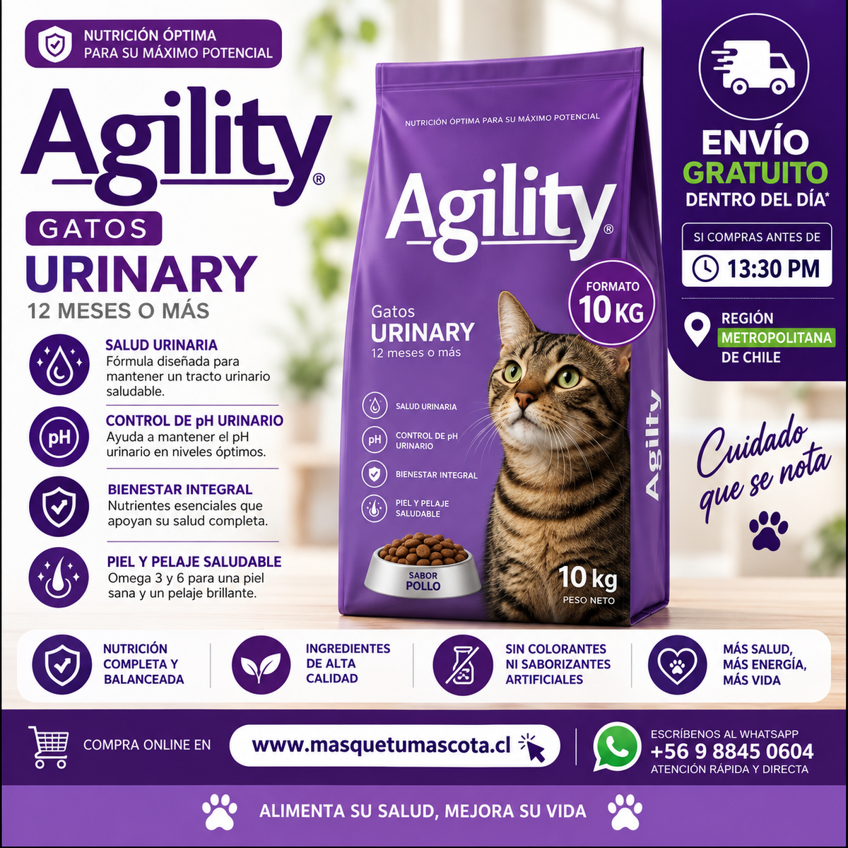 Agility Gato Urinary 10kg