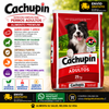 Cachupin Adultos - 25 Kg 20% de Proteina.