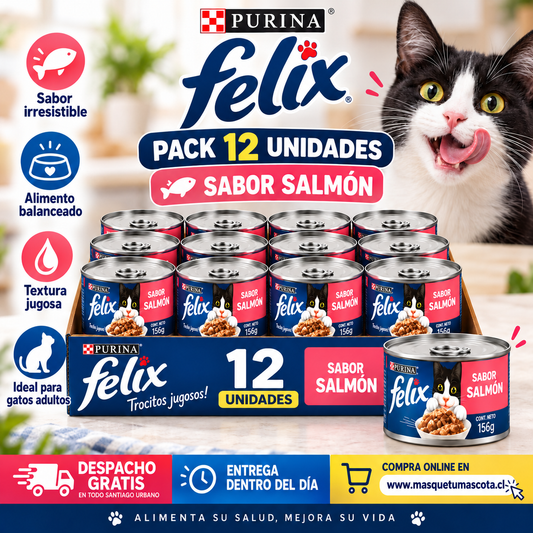 Pack Lata Felix Sabor Salmon 12 unidades de 156gr.
