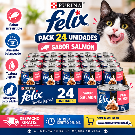 Pack Lata Felix Sabor Salom 24 latas de 156gr