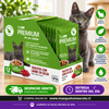 Caja Sachet Vitalcan Premium 12 unidades Sabor Carne.