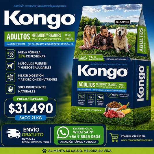 Kongo Adulto 21kg